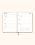 2026 Sand Dollar Medium Dual-Textured Planner