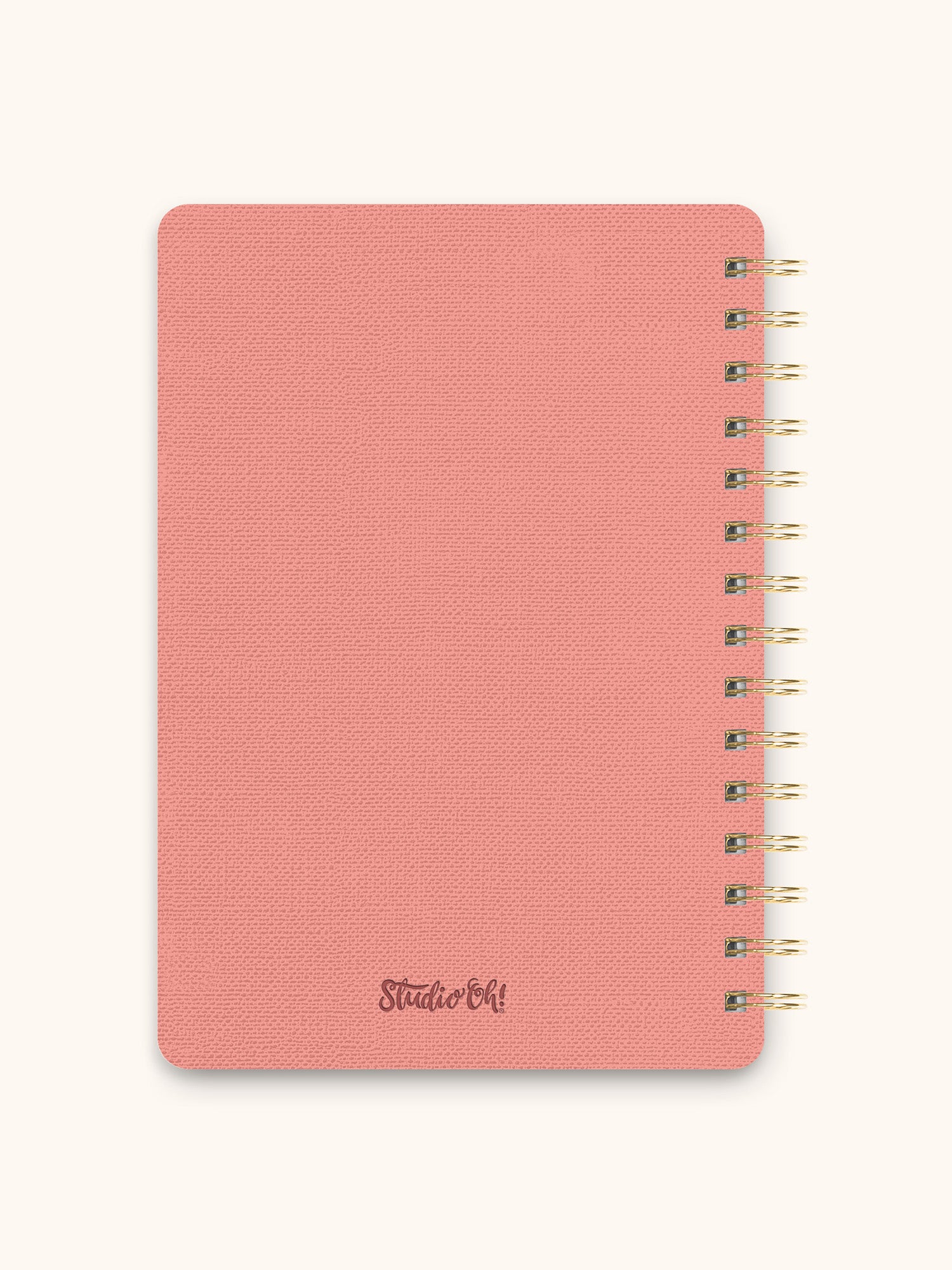 Current Mood (Coral Pink) Agatha Notebook