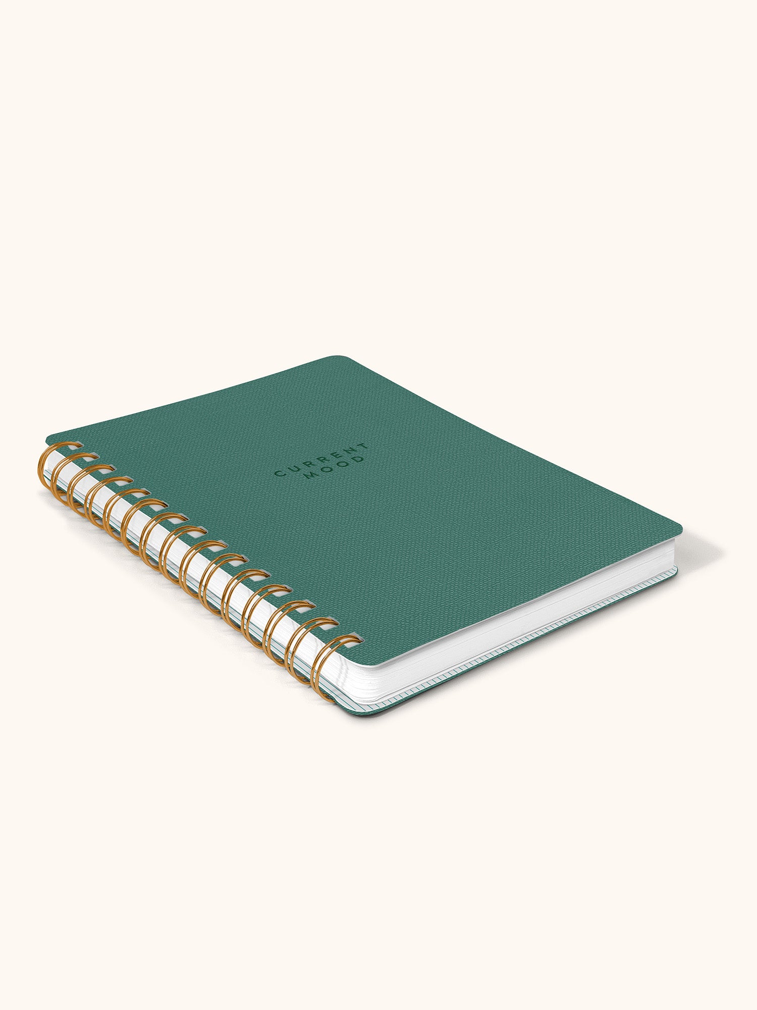 Current Mood (Hunter Green) Agatha Notebook