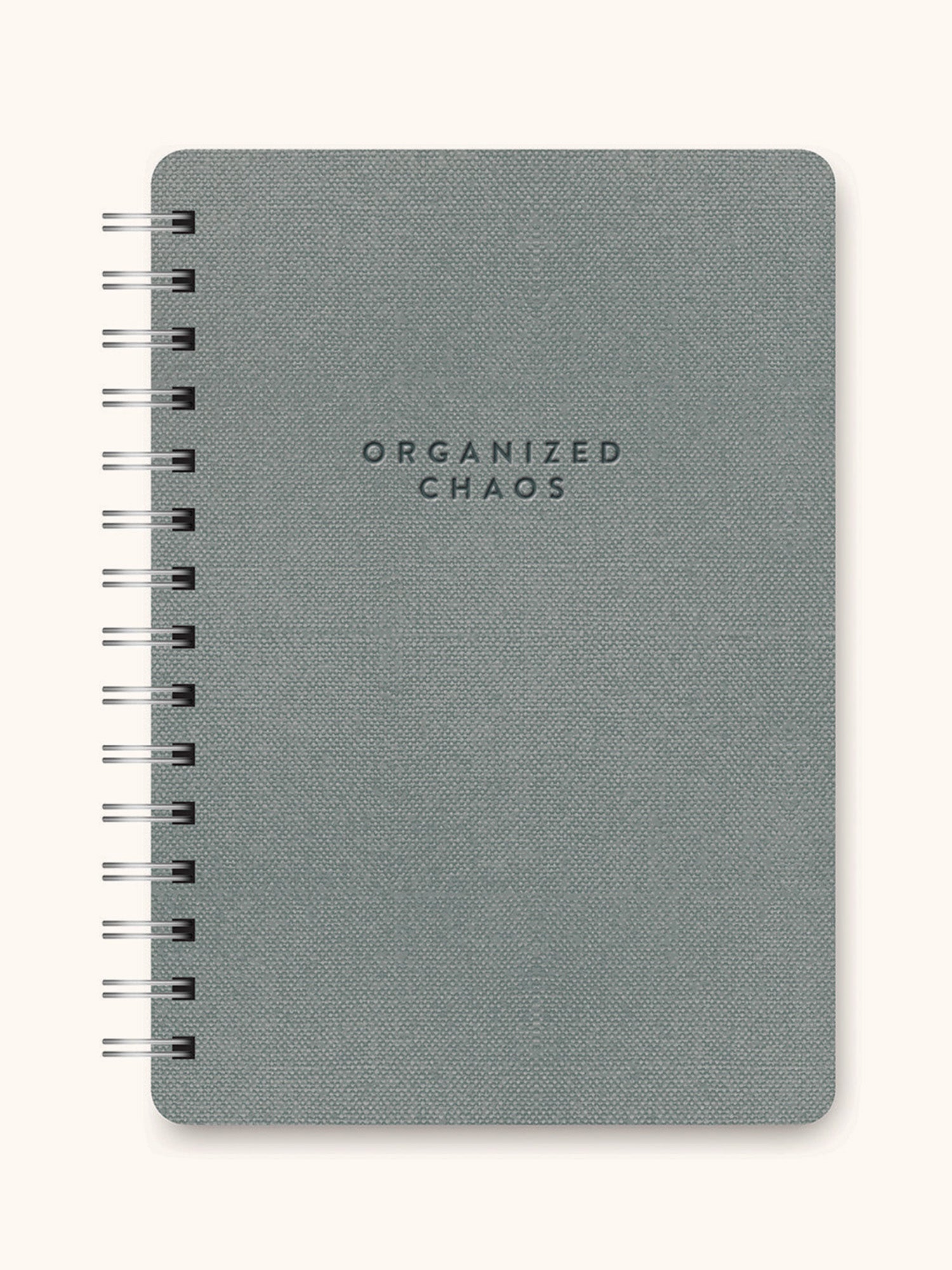 Organized Chaos (Gorgeous Gray) Agatha Notebook