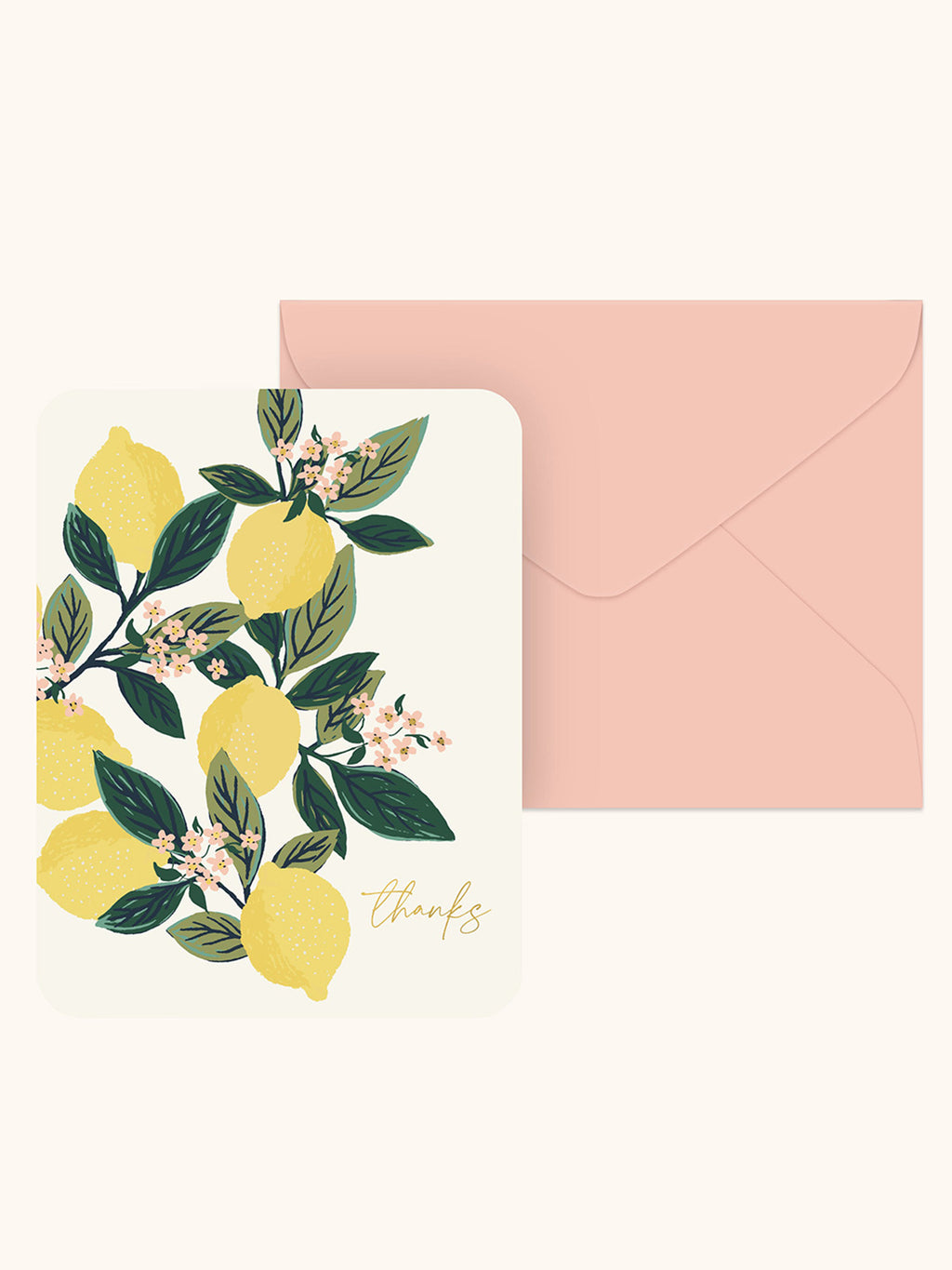 Dayspring Studio 71 - 8 Premium Embellished Note Cards - Blank