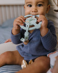 Silicone Teether Ring - Roarsome