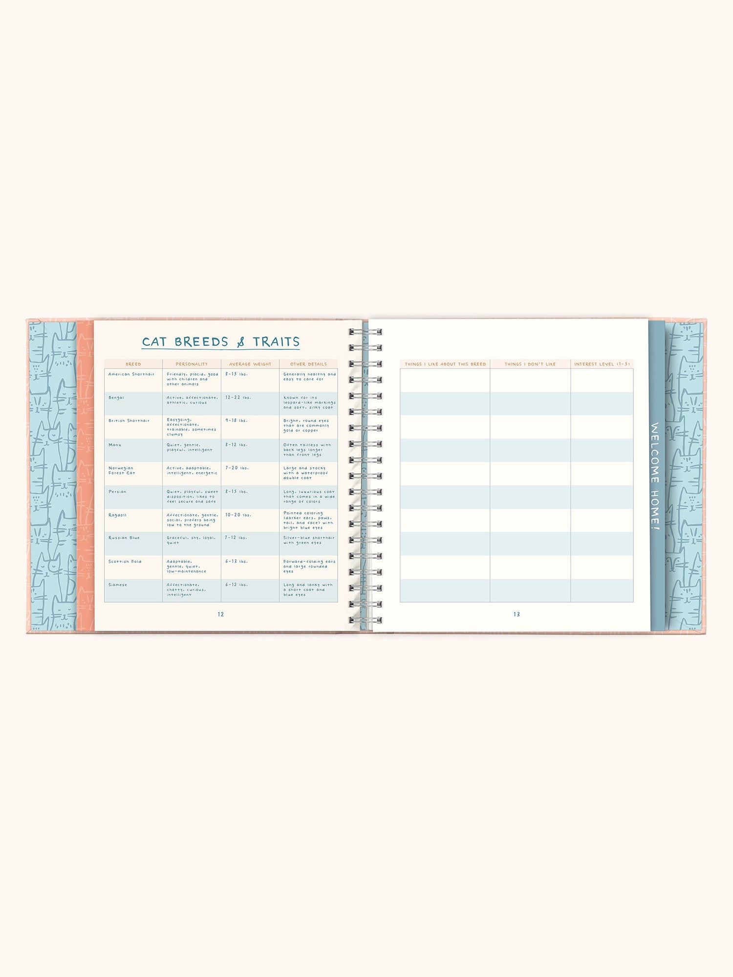 It's a Cat! Guided Journal