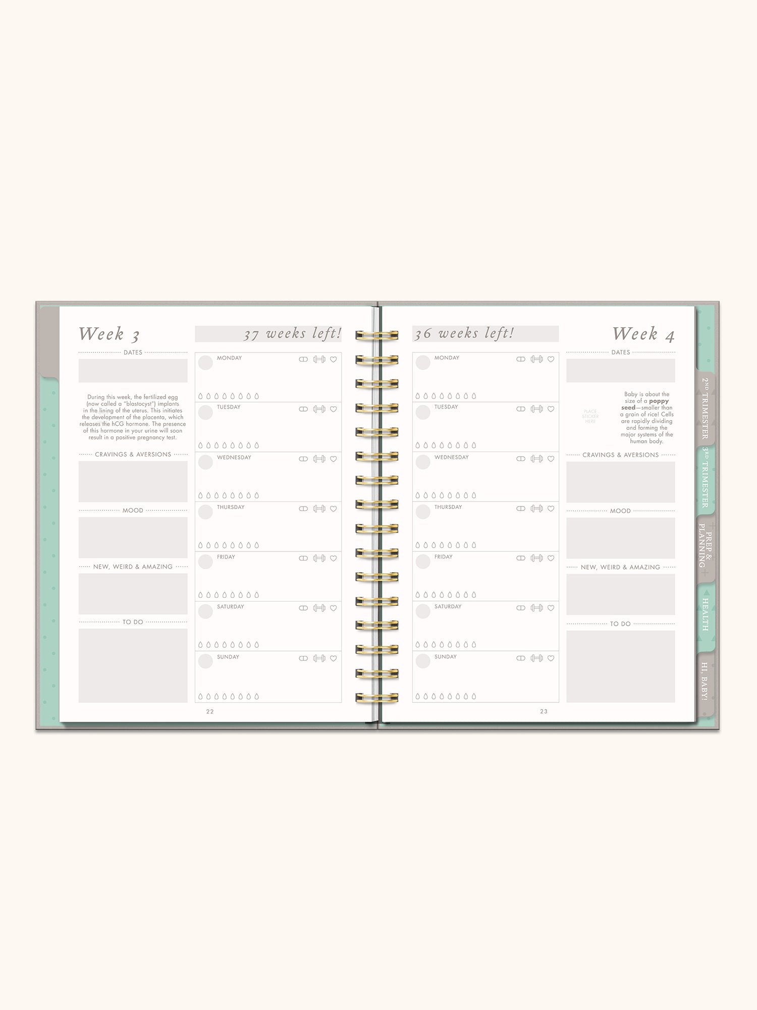 Undated Pregnancy Planner & Journal – Studio Oh!