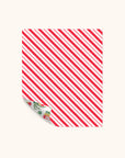 Bookish Christmas Reversible Gift Wrap