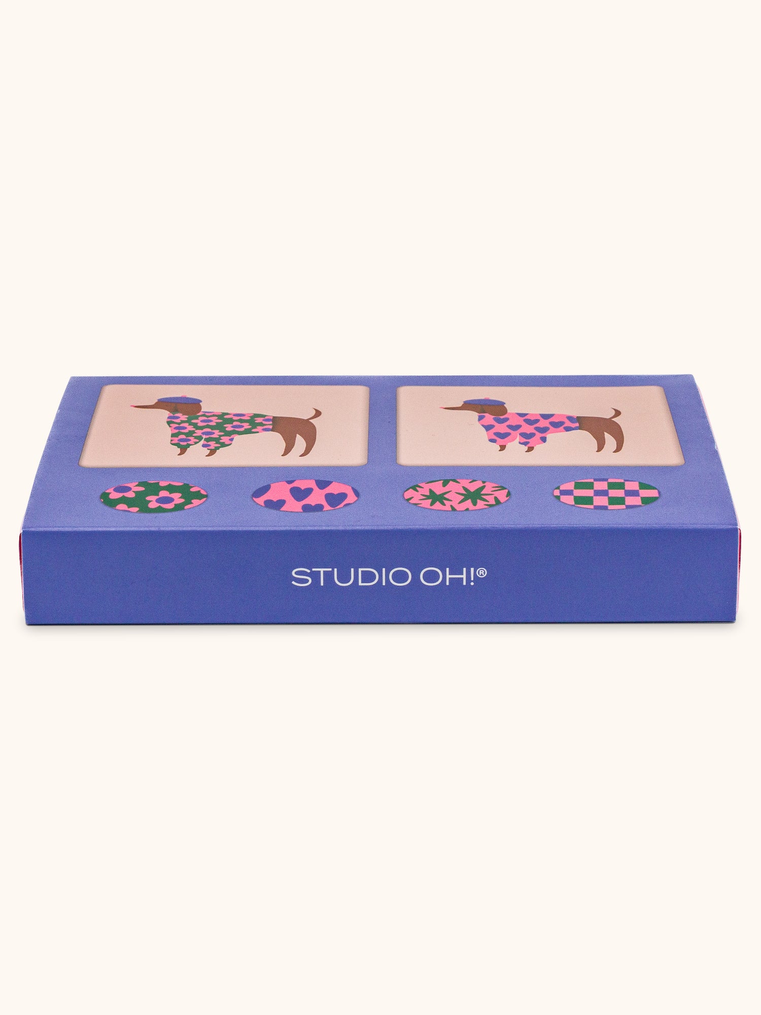 Bonjour, Mes Amis Mini Note Card Set with Stickers