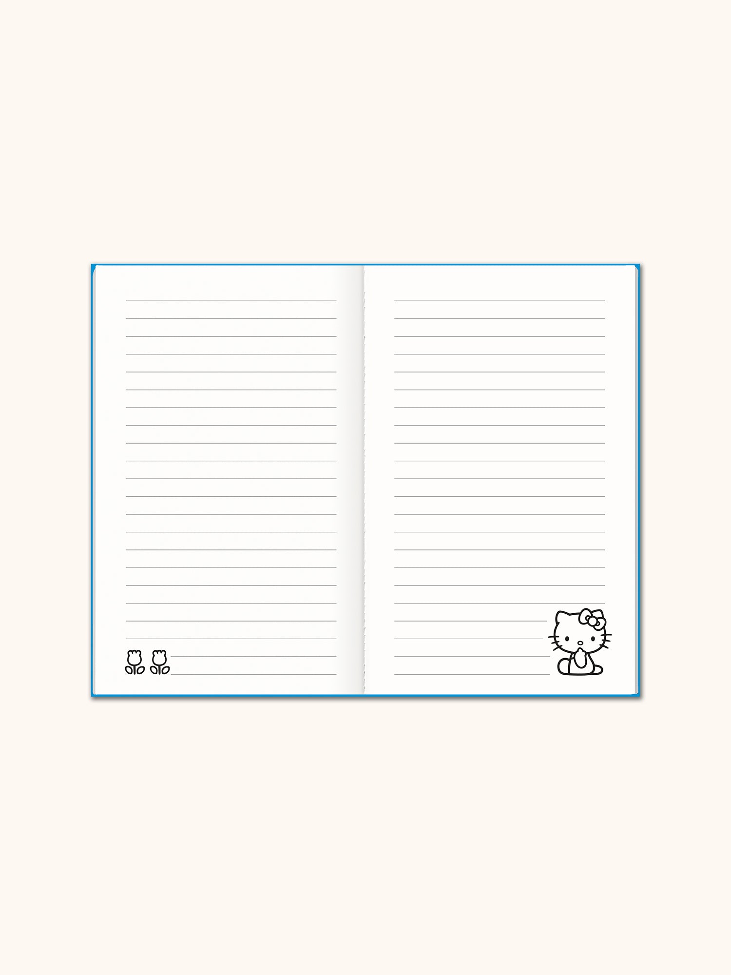 Retro Hello Kitty Boxed Mini Notebook Trio