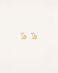 Capricorn Zodiac Earrings