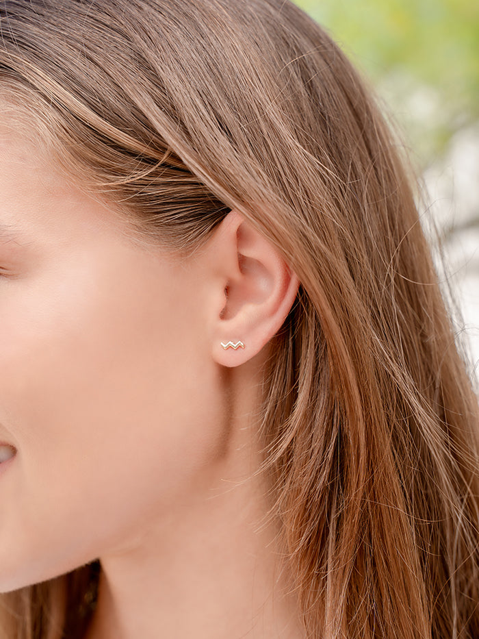 Aquarius Zodiac Earrings – Studio Oh!