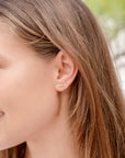 Aquarius Zodiac Earrings
