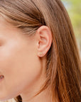 Pisces Zodiac Earrings