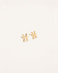 Pisces Zodiac Earrings