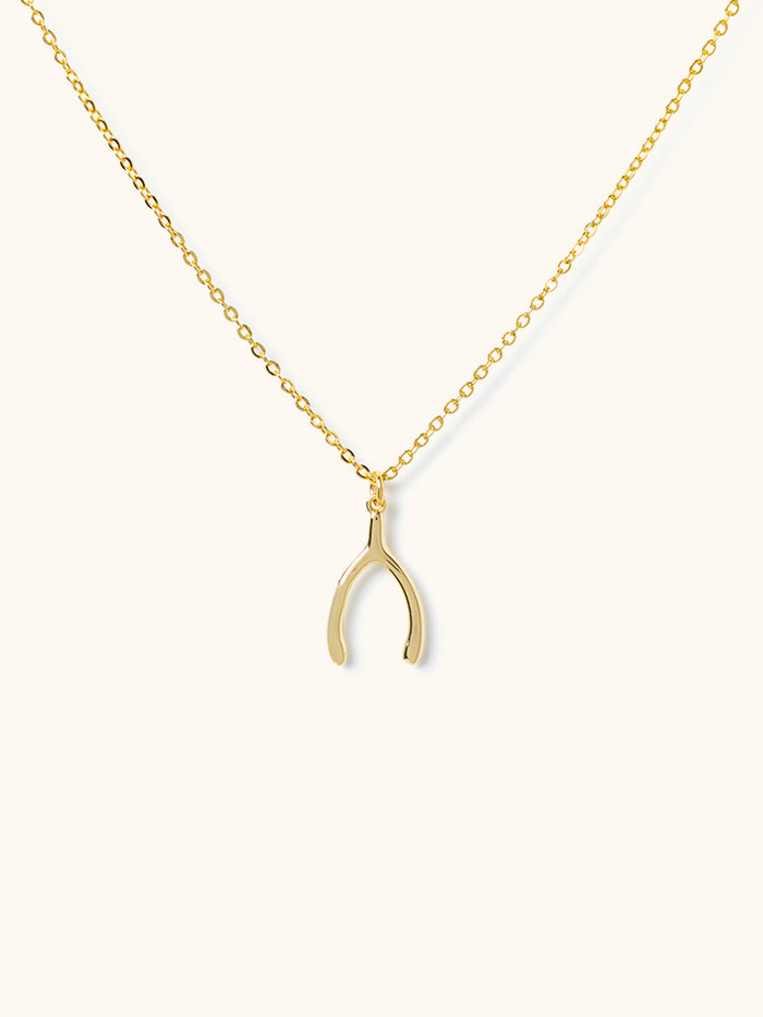 Wishbone - Lucky You Necklace – Studio Oh!