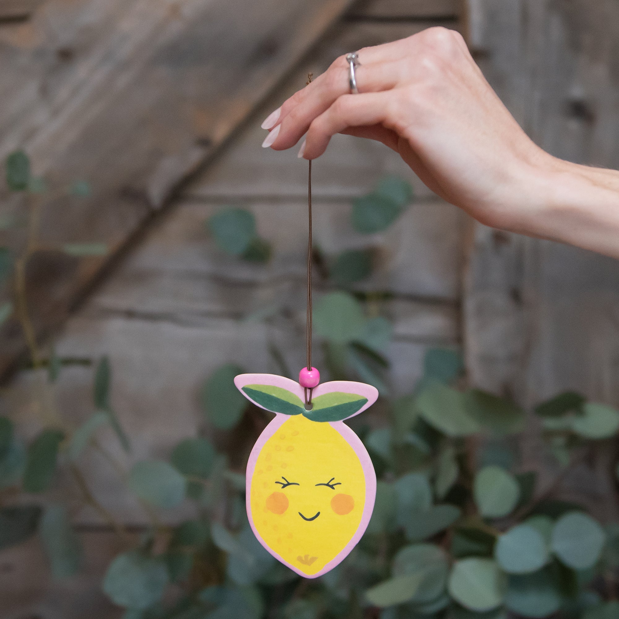 Citrus Bliss Car Air Freshener