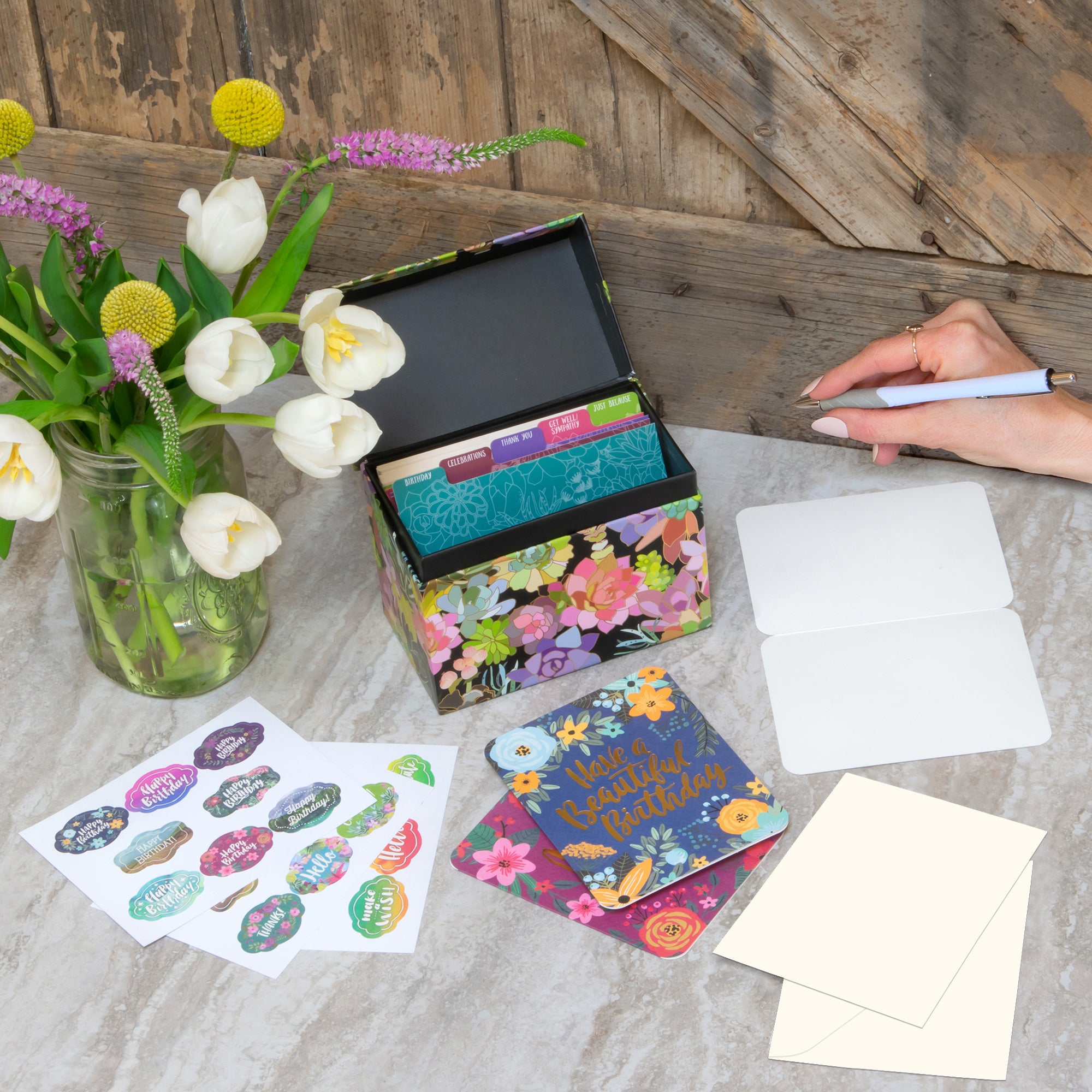 Succulent Paradise All-Occasion Greeting Card Assortment – Studio Oh!