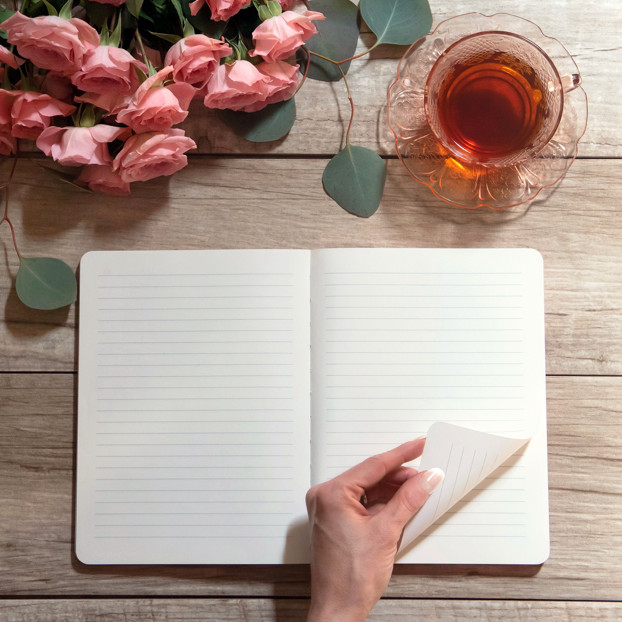 Sun on the Horizon Medium Deconstructed Journal Studio Oh