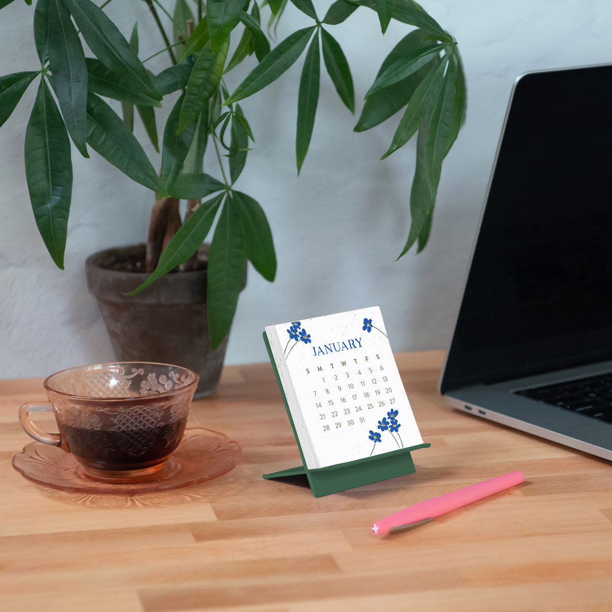 Let Love Grow Plant & Bloom Desk Calendar