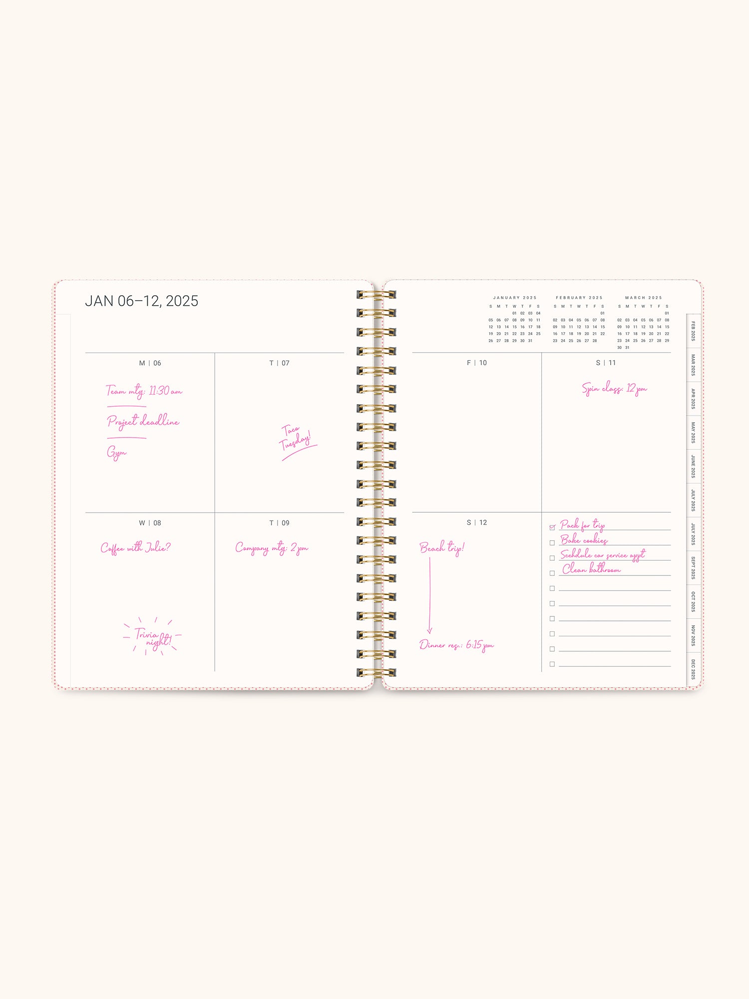 2025 Lazy Daisies Blue Baxter Planner