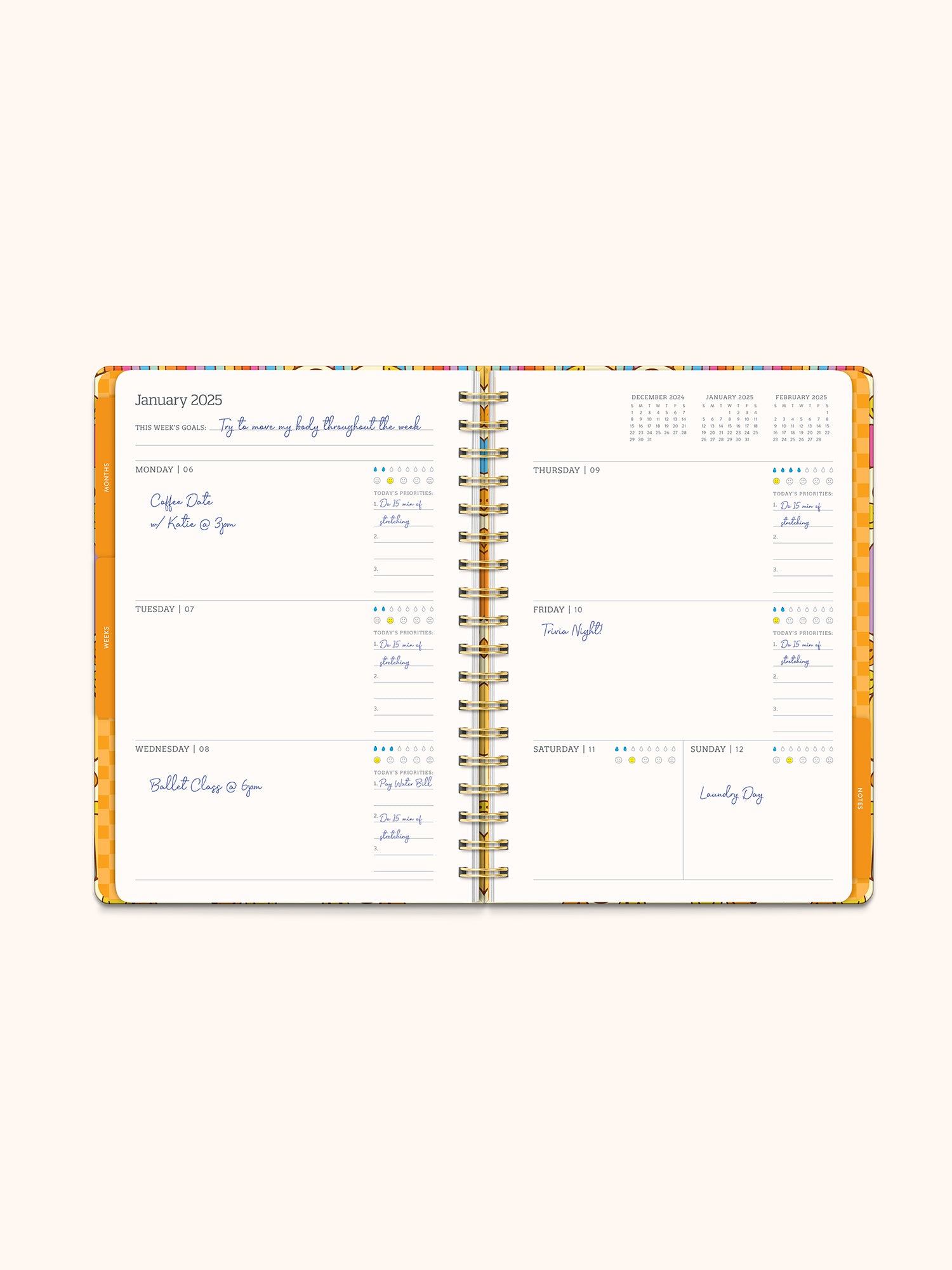 2025 Good Times Tri-Tab Planner