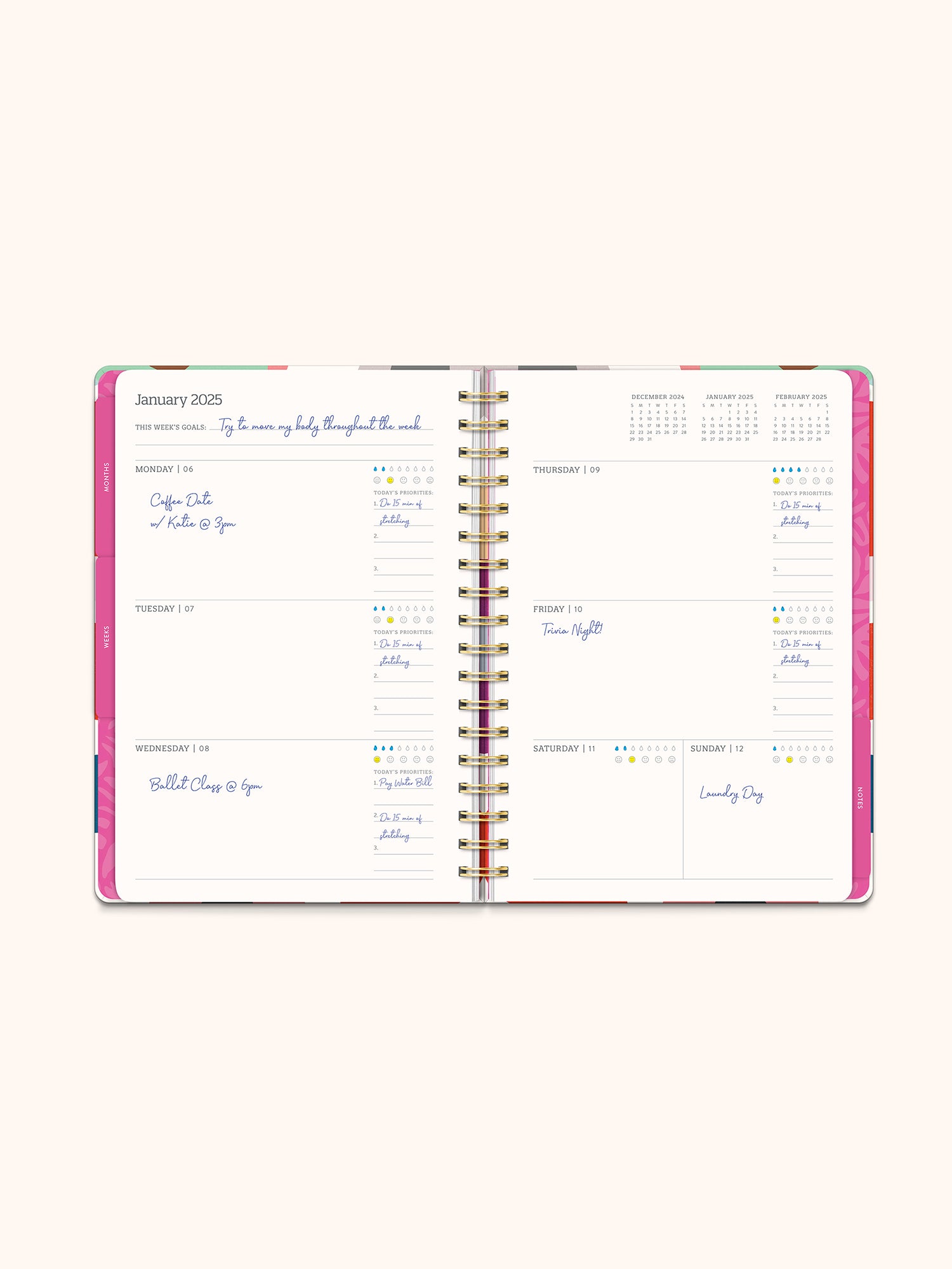 2025 Summer Poppies Tri-Tab Planner