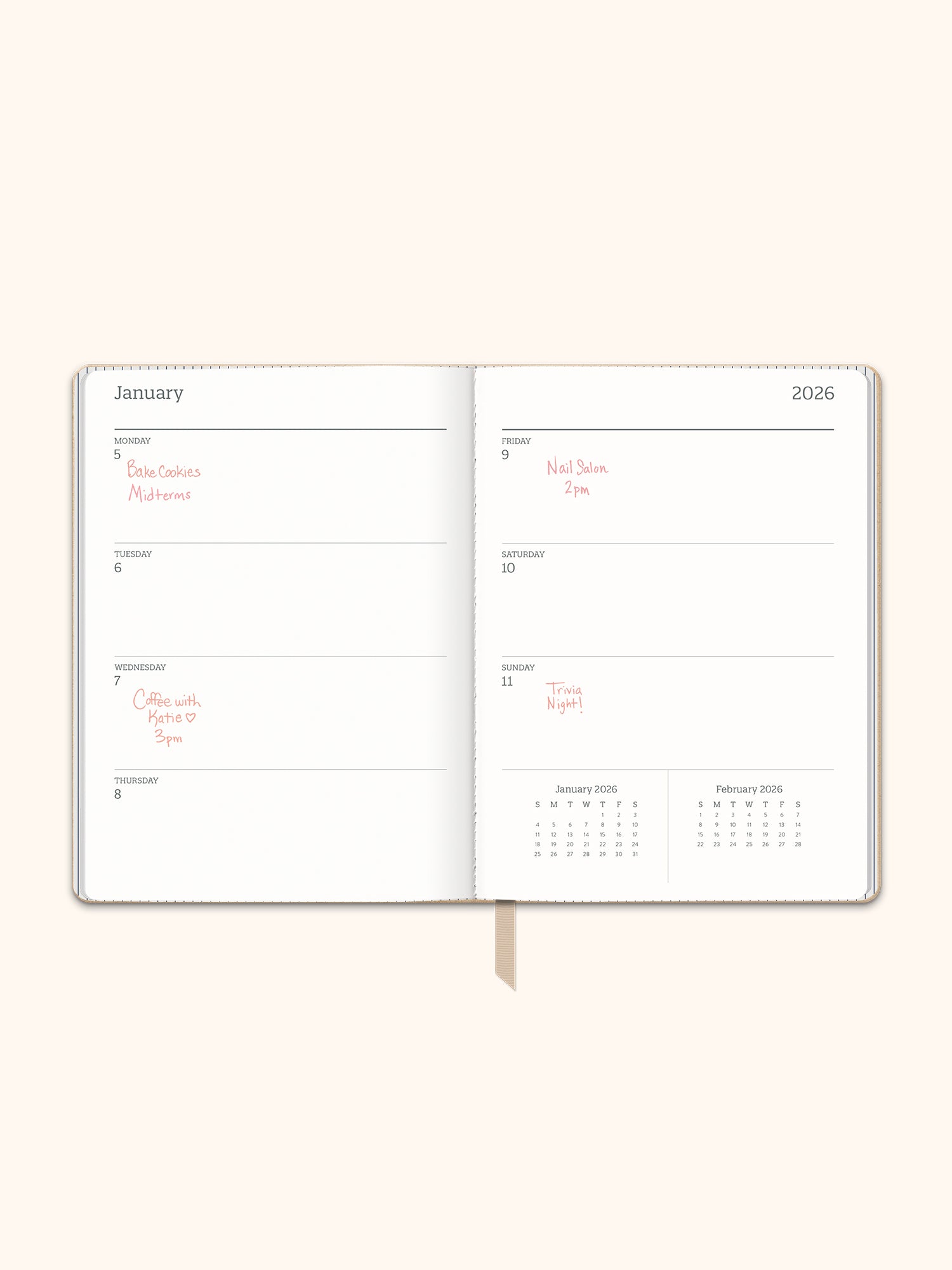 2026 Sand Dollar Medium Dual-Textured Planner