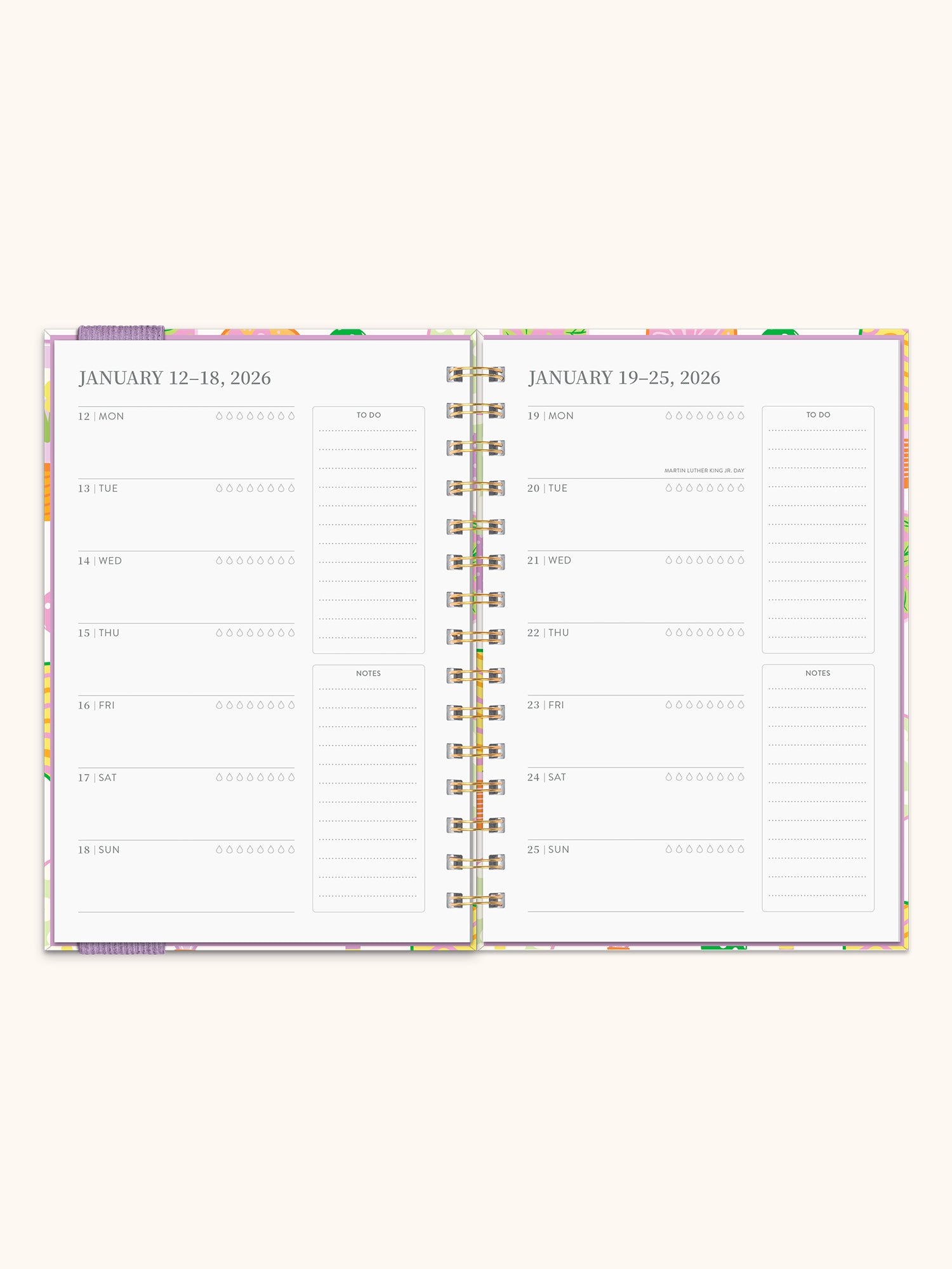 2026 Pickleball Rally Oliver Planner
