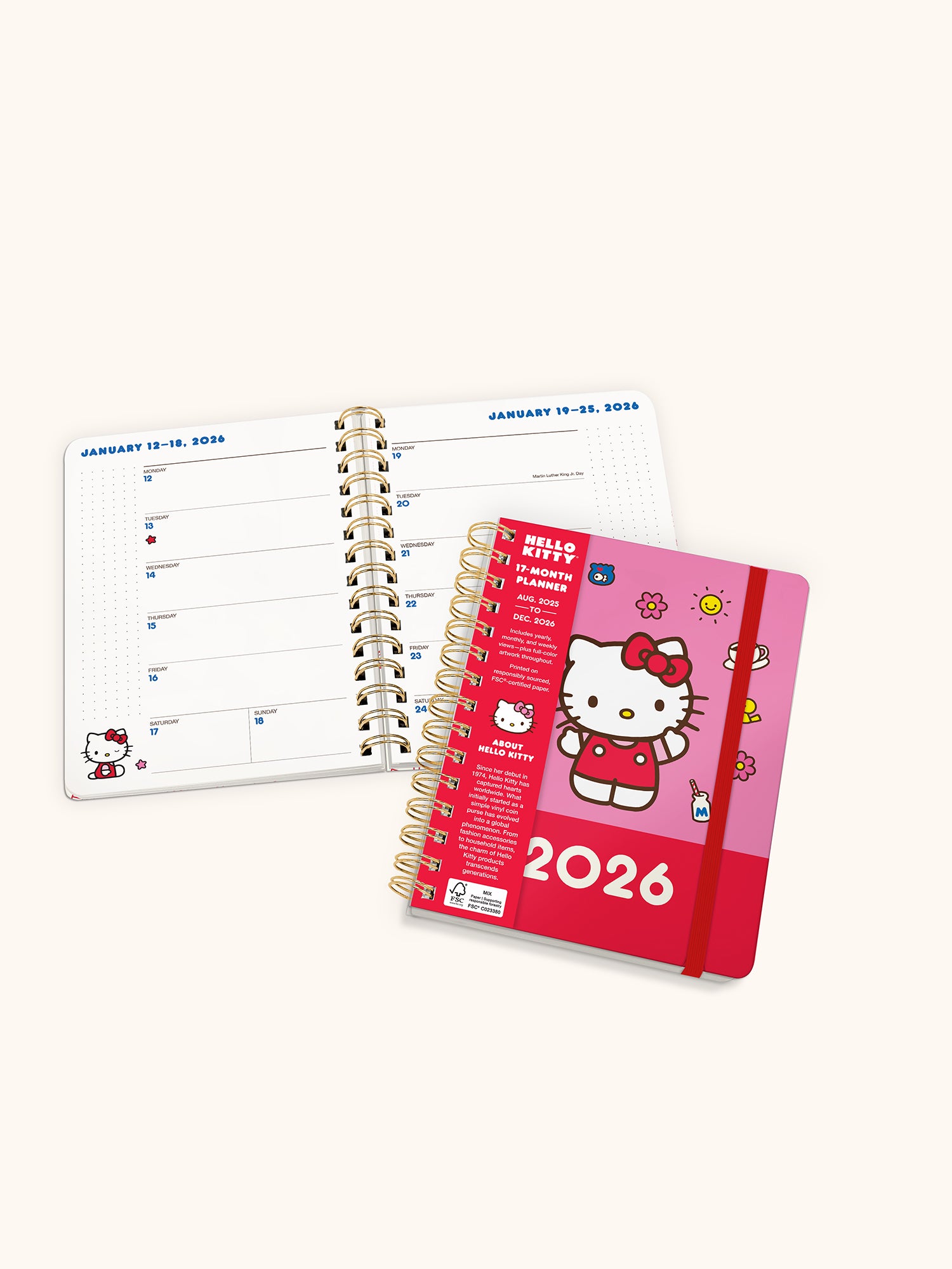 2026 Hello Kitty Playful Pink Deluxe Compact Flexi Planner