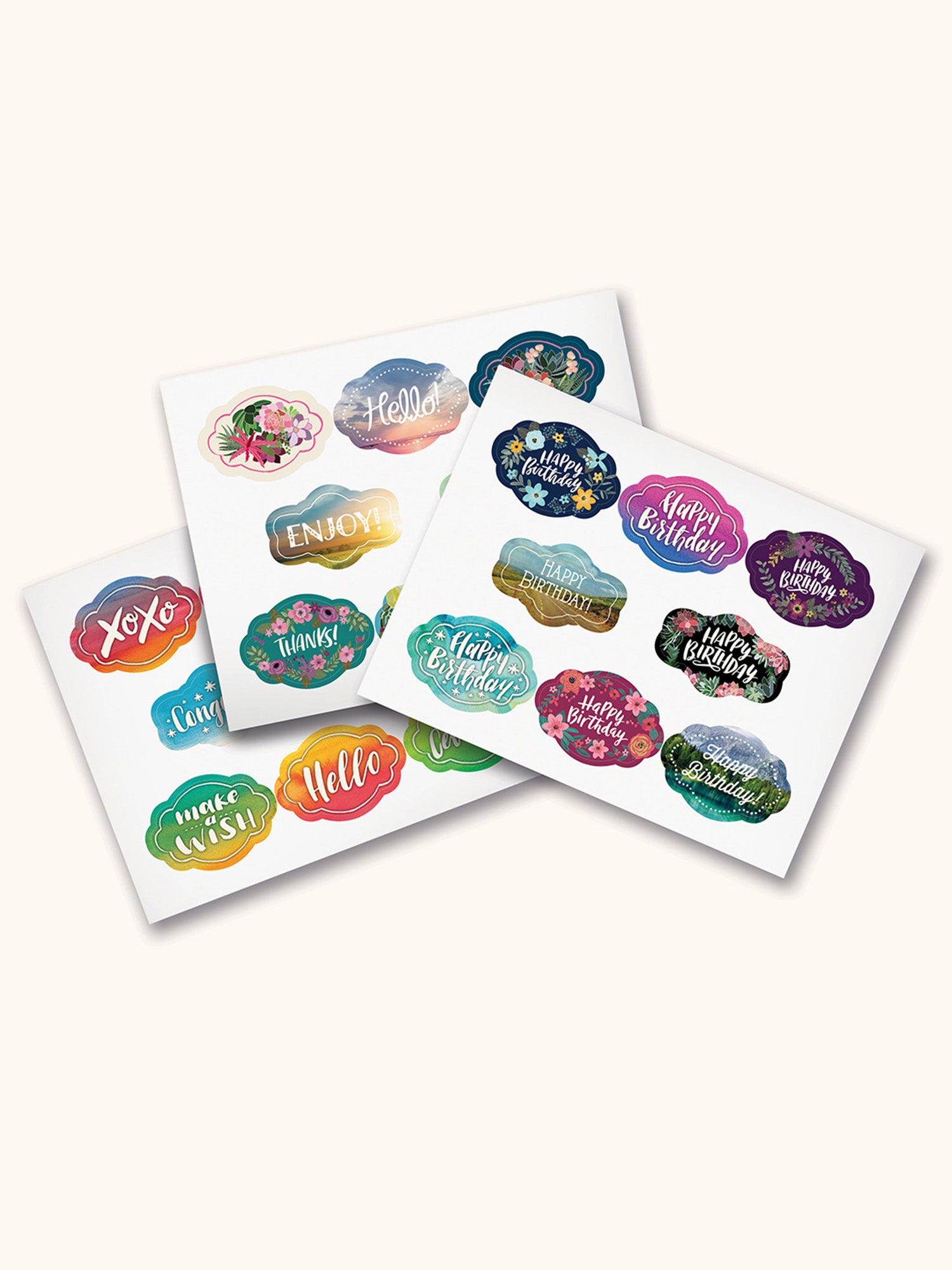 Succulent Paradise All-Occasion Greeting Card Assortment – Studio Oh!