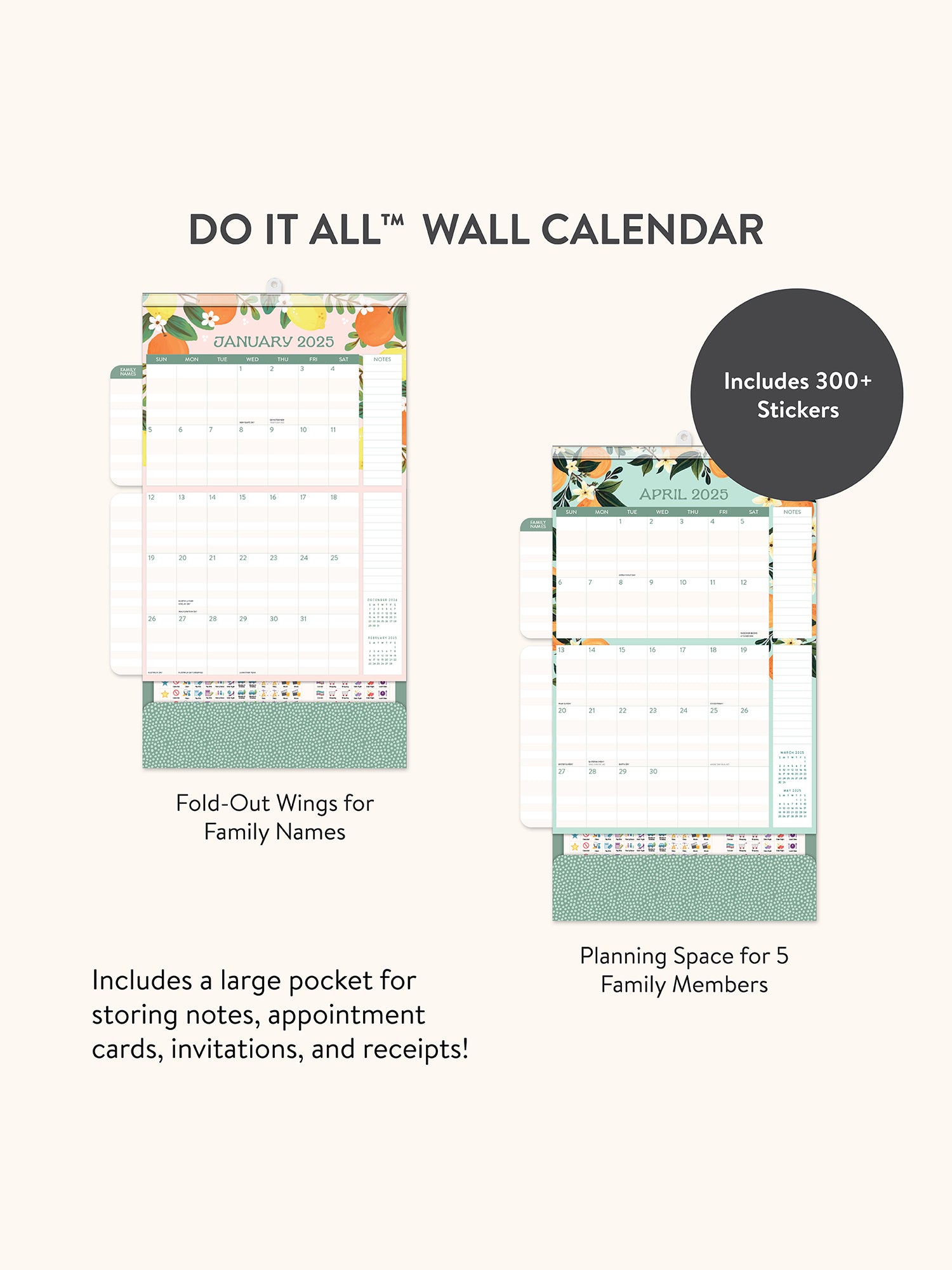 2025 Fruit &amp; Flora DIA Wall Calendar