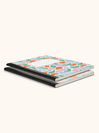 Rainbow Abstract Composition Book Duo