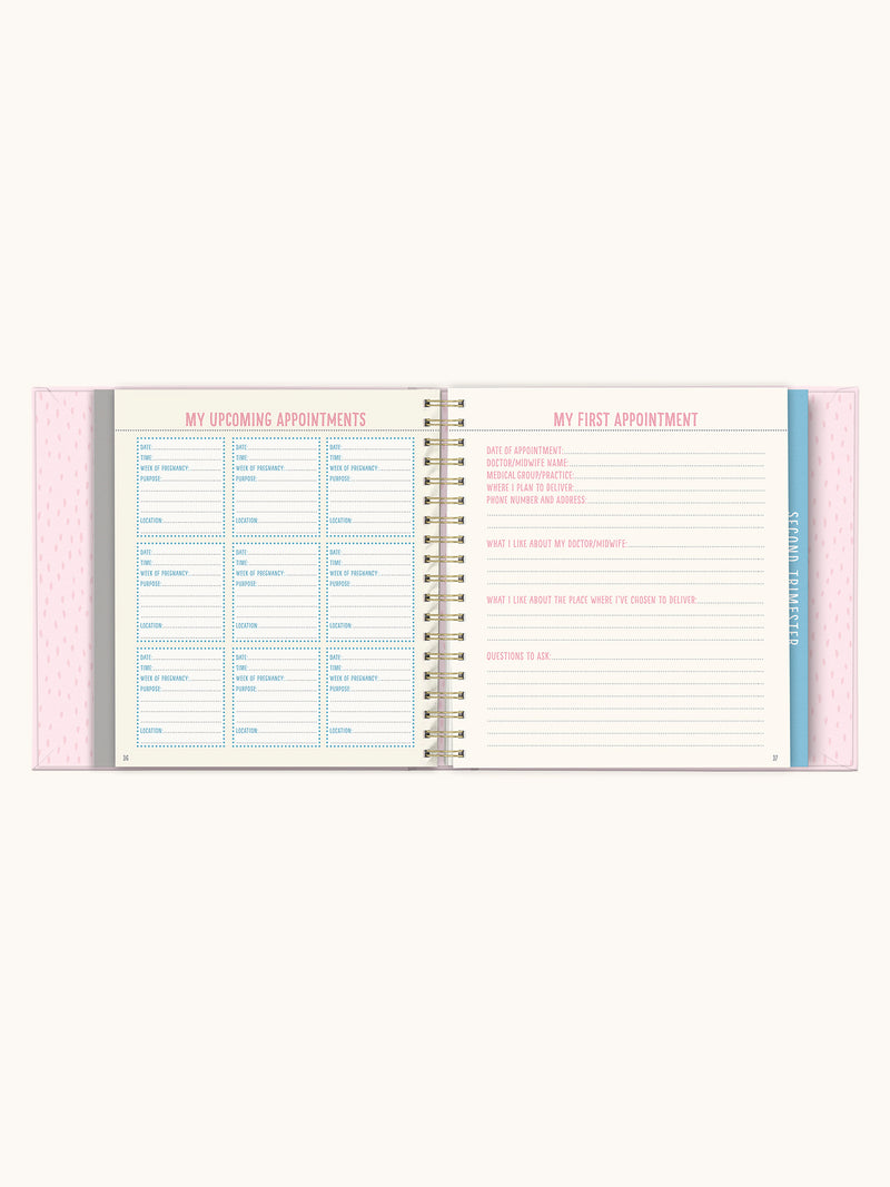 Bump For Joy Guided Journal (Pink)