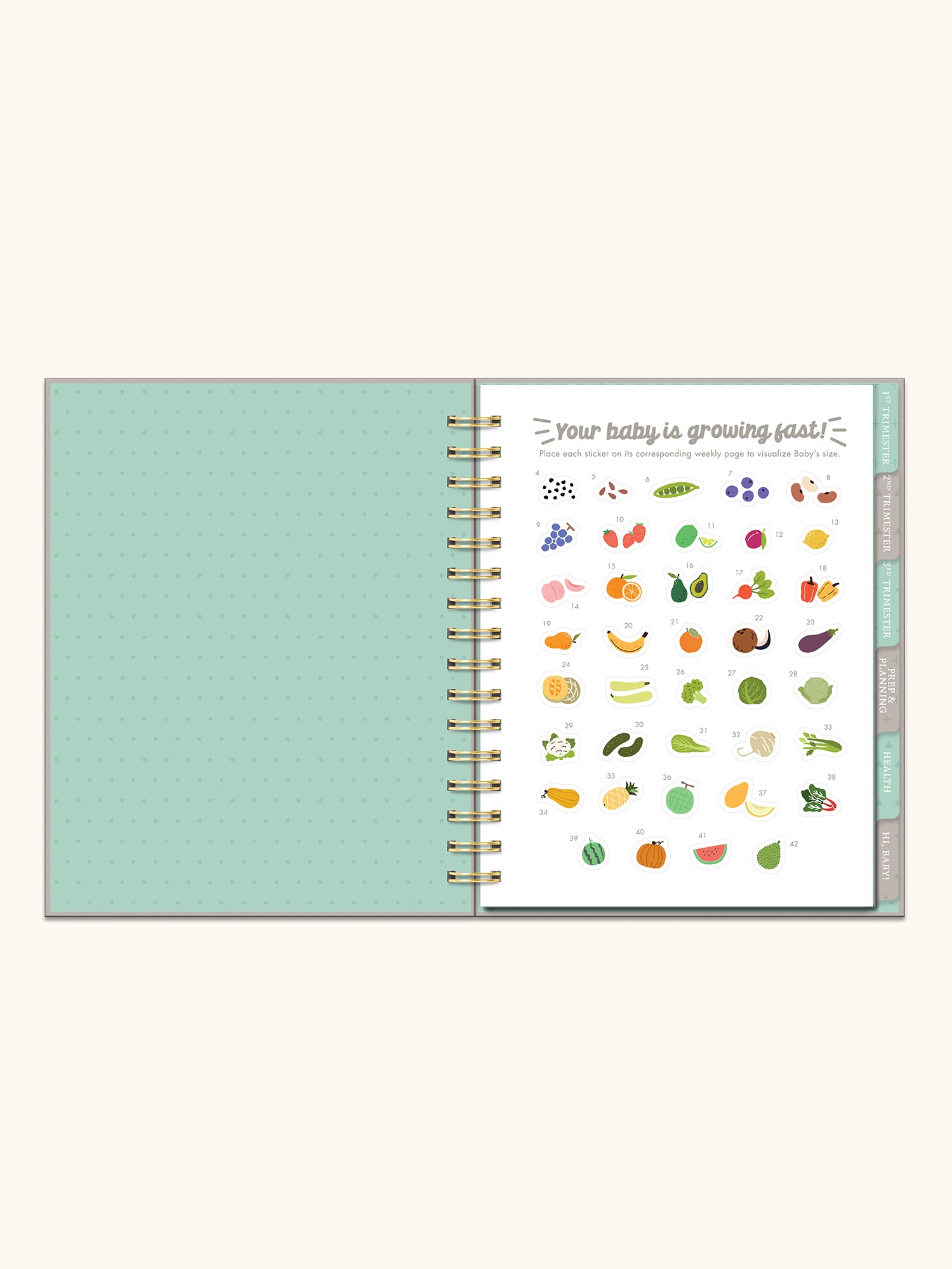 Undated Pregnancy Planner & Journal – Studio Oh!