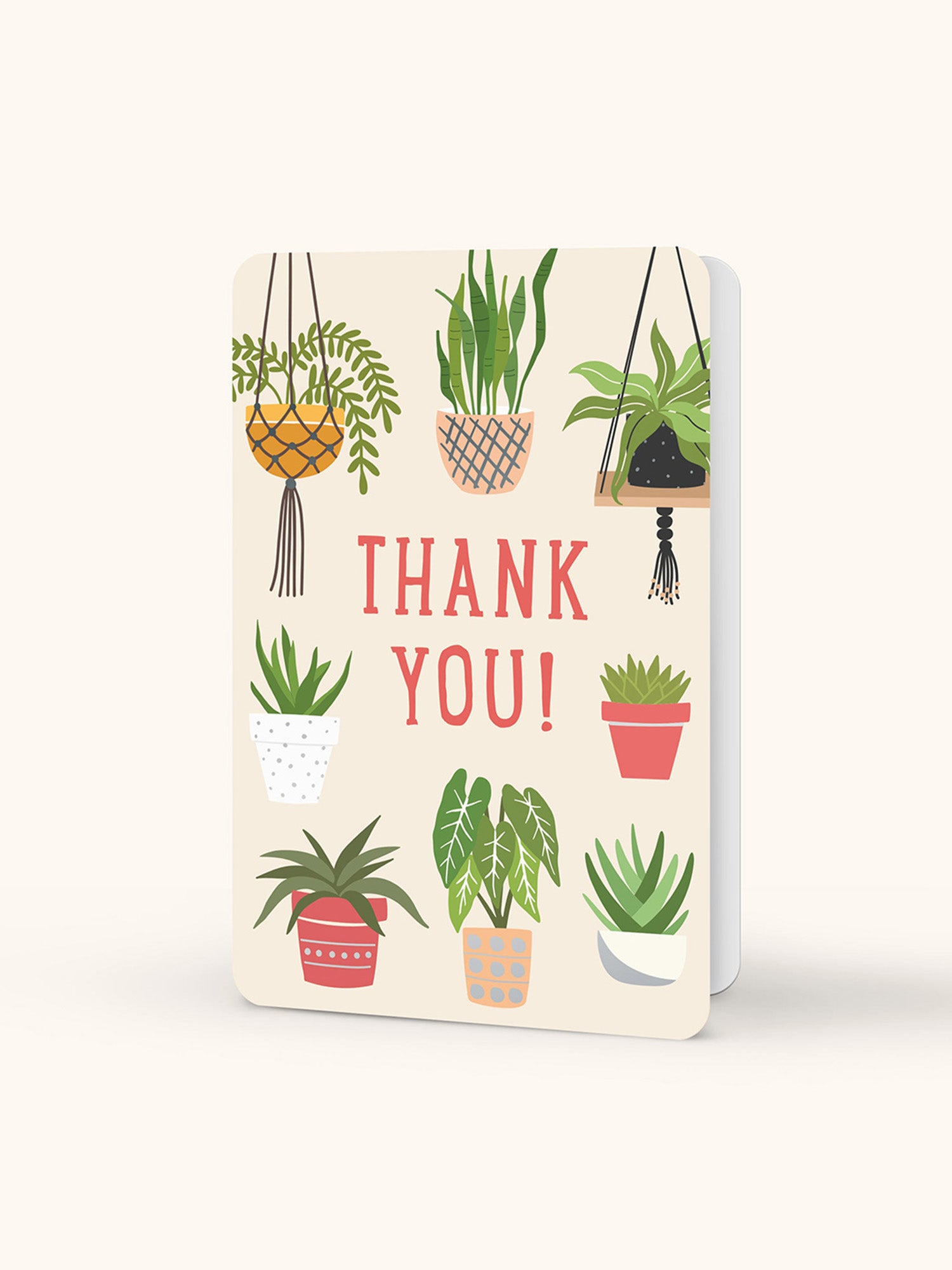 Grow with Me Thank You Note Card Set with Stickers – Studio Oh!