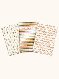 Turtle Garden Notebook Trio