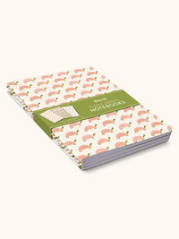 Turtle Garden Notebook Trio