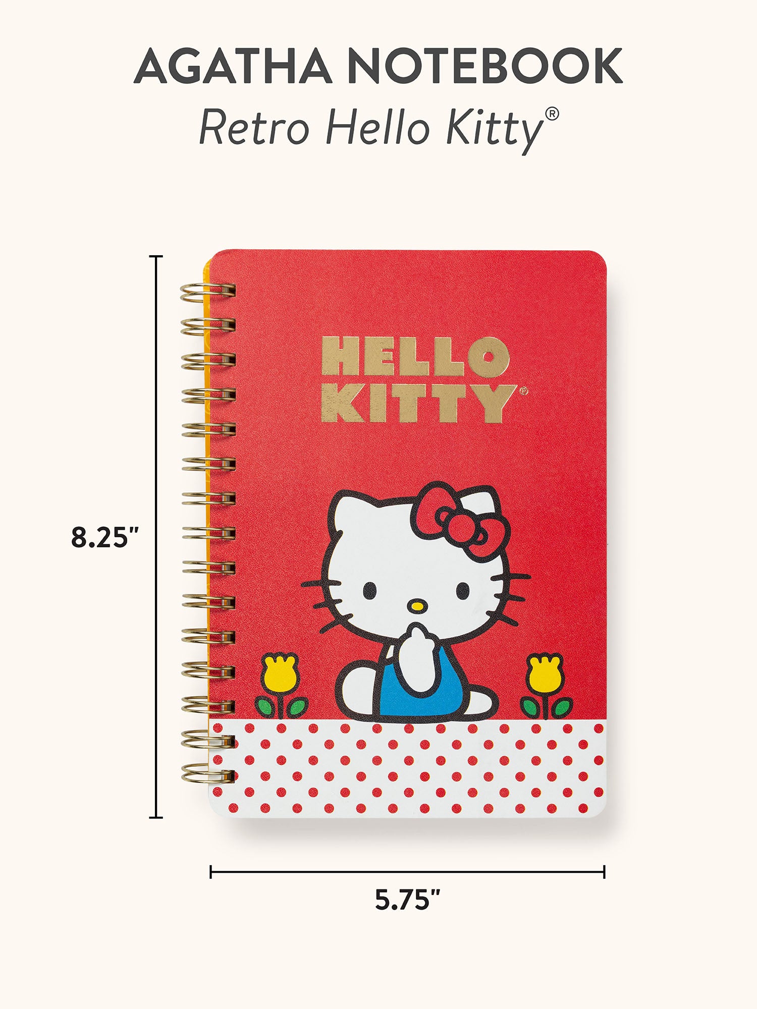 Retro Hello Kitty Agatha Notebook with Sticker Sheet – Studio Oh!