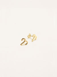 Aries Zodiac Earrings