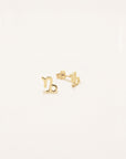 Capricorn Zodiac Earrings