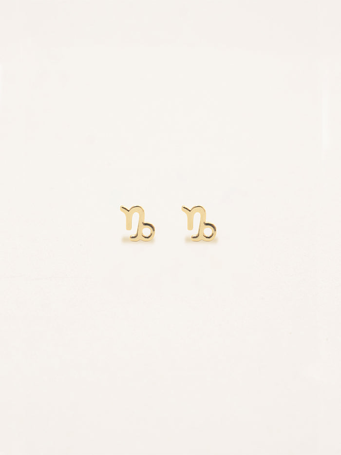 Capricorn Zodiac Earrings