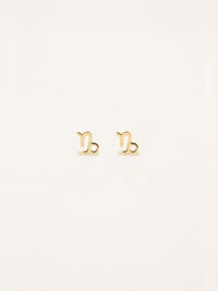 Capricorn Zodiac Earrings