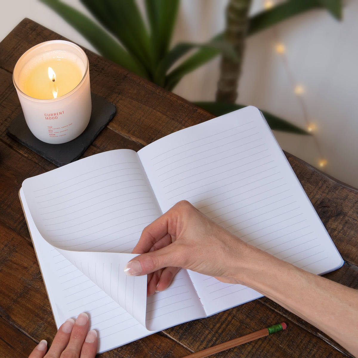 The Zenith Notebook Trio