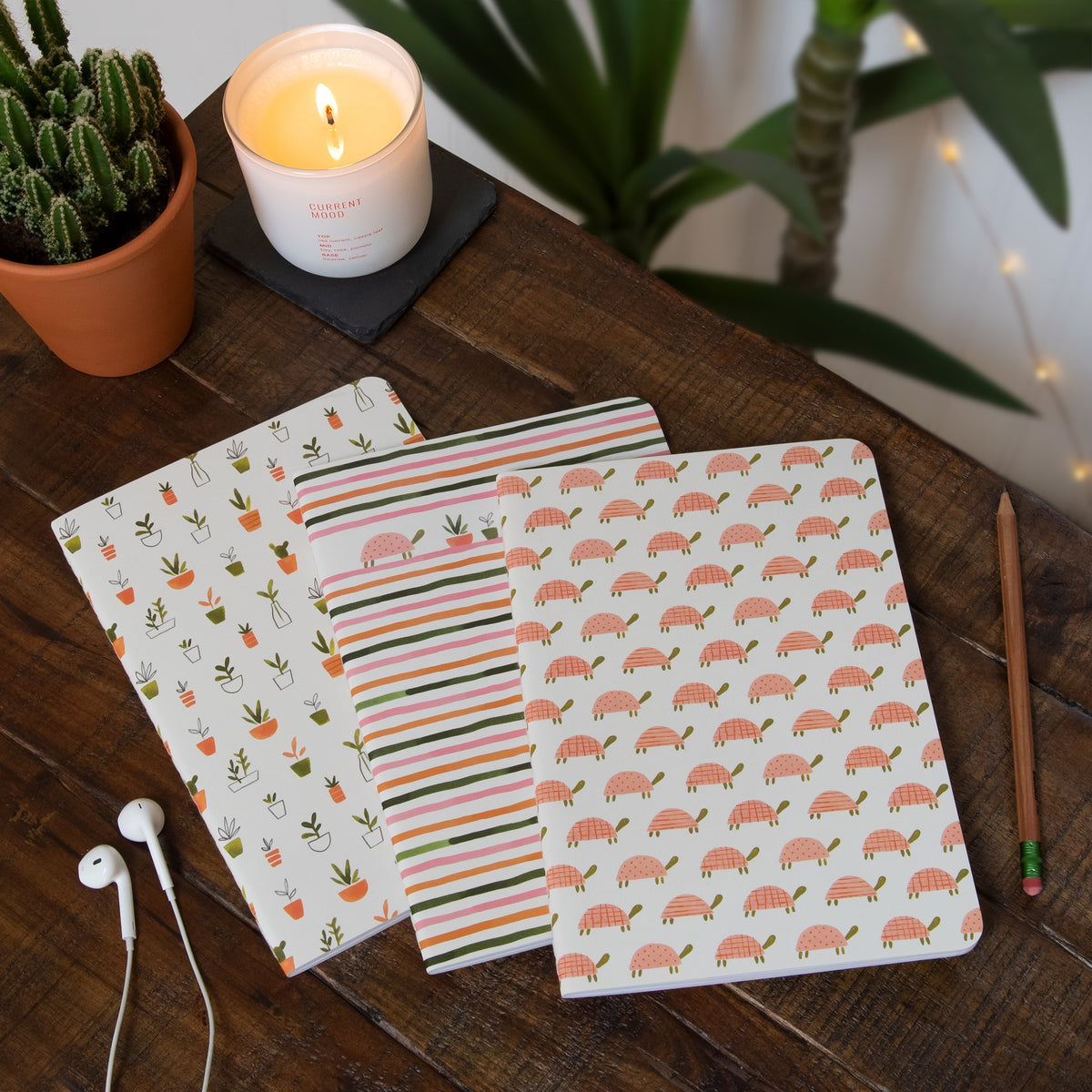 Turtle Garden Notebook Trio